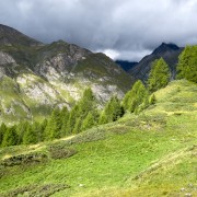 IMG 4871