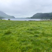 IMG 6755