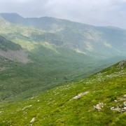 IMG 6994
