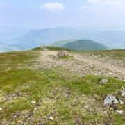 IMG 7019