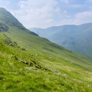 IMG 7029