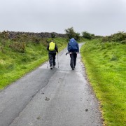 IMG 7354