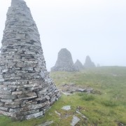 IMG 7366
