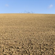 IMG 5847