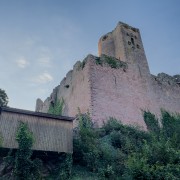 IMG 8618