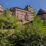 IMG 8629