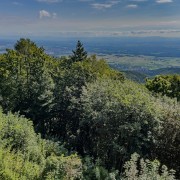 IMG 8632