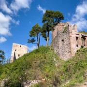 IMG 8656