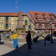 IMG 8694
