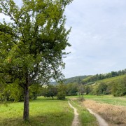 IMG 9328
