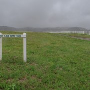 IMG 3654