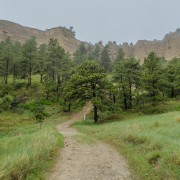 IMG 3665