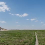 IMG 4007