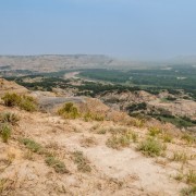 IMG 4357