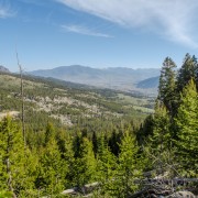 IMG 4563
