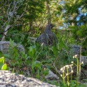 IMG 4567
