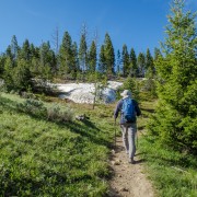 IMG 4568