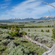 IMG 4569
