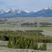 IMG 4571