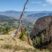 IMG 4575