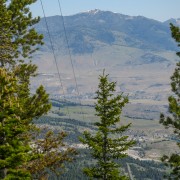IMG 4582