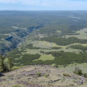 IMG 4596