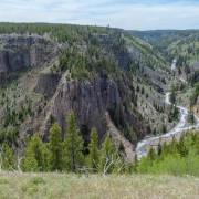 IMG 4631