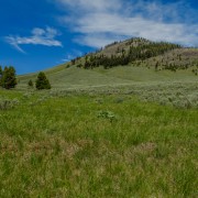 IMG 4633