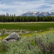 IMG 4640