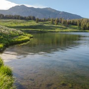 IMG 4679