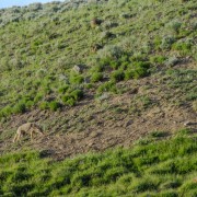 IMG 4682