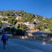 IMG 0372