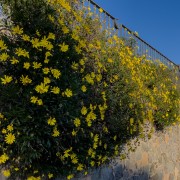 IMG 0379