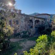 IMG 0383