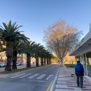 IMG 0452