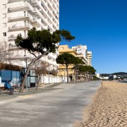 IMG 0455