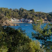 IMG 0532