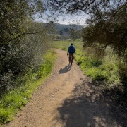 IMG 0544