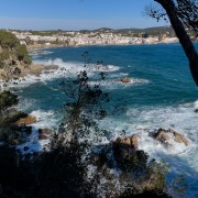 IMG 0575