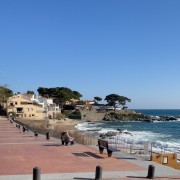 IMG 0589