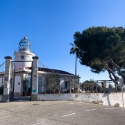 IMG 0602