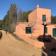 IMG 0610