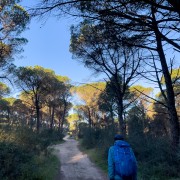 IMG 0650