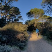IMG 0653