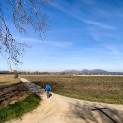 IMG 0695