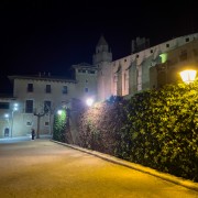 IMG 0749