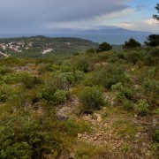 IMG 0834