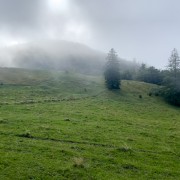 IMG 2386