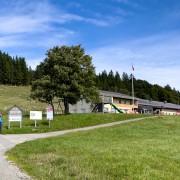 IMG 2514