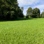 IMG 2544
